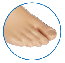 Anatomic cosmetic shell with separated toe.