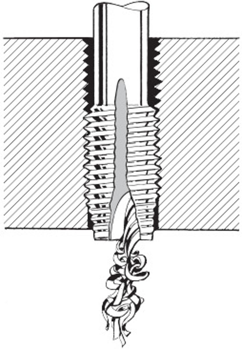 Taraud machine vaporisé Type B M6