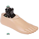 Carbon foot with smooth heel adjustement
