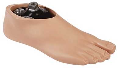 Single axis foot with adjustable heel shock absorber