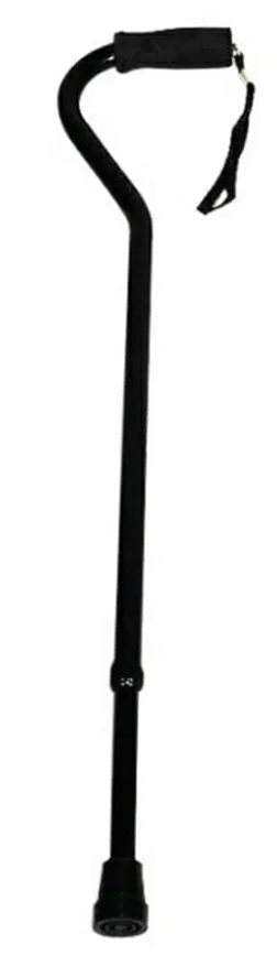 Cane