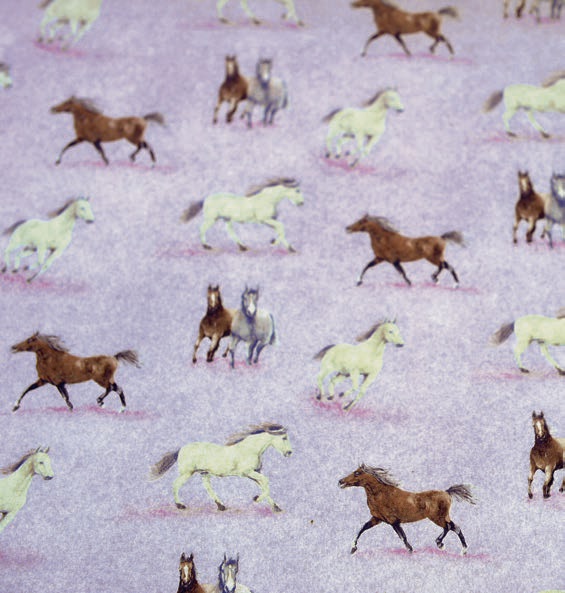 Transfer paper "Little horses"
