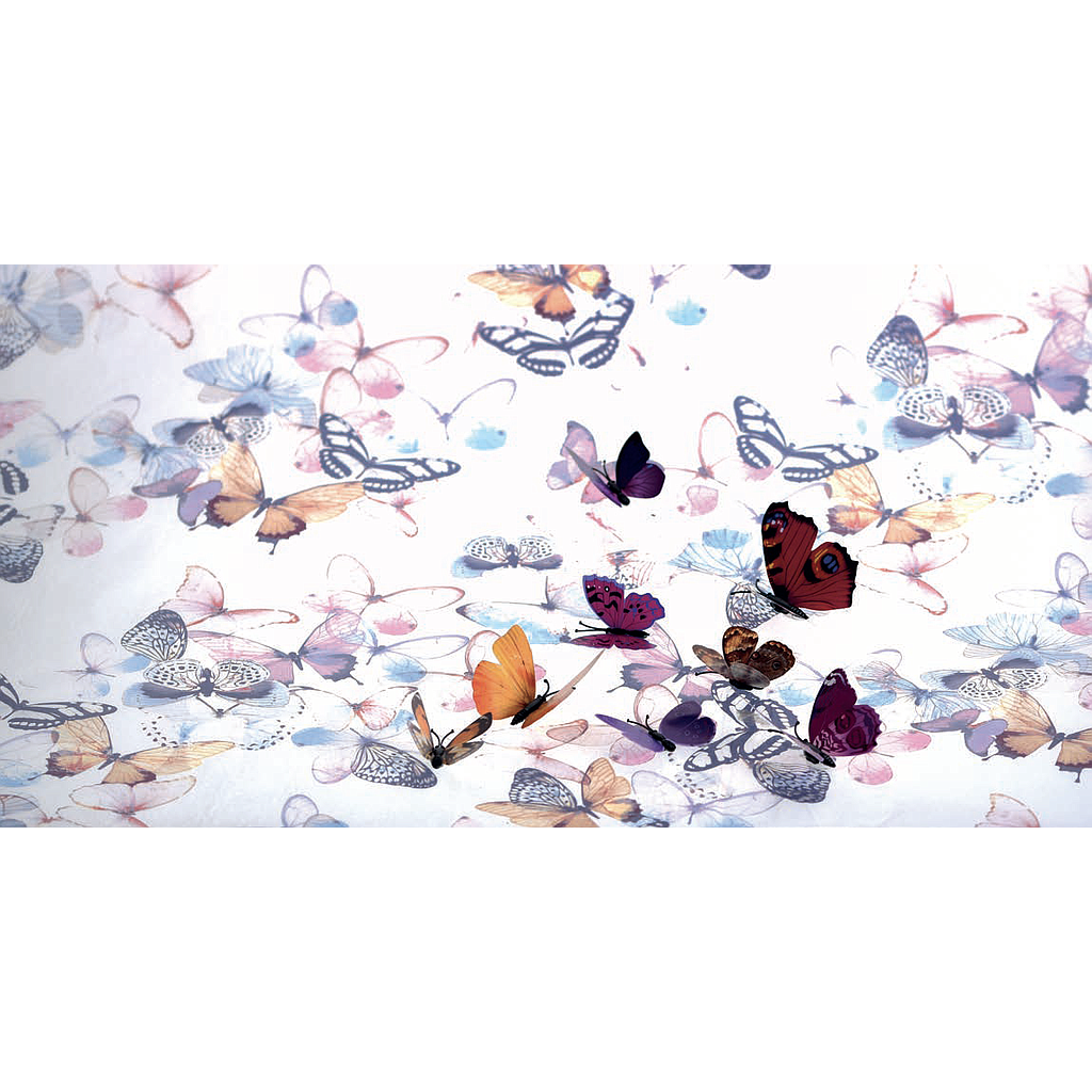 Papier transfert "Papillon"