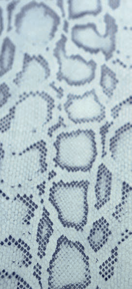 Transferpapier "Cobra"