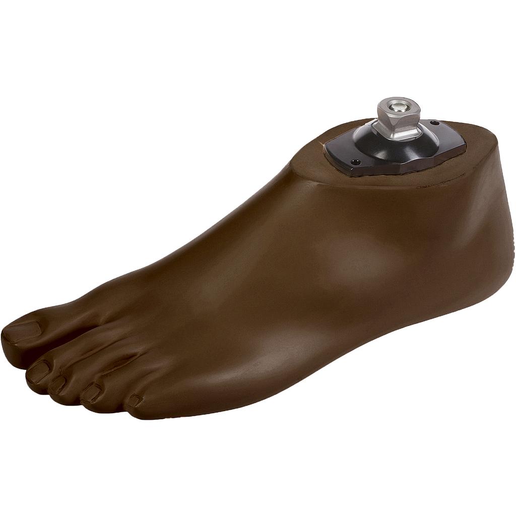 SACH Foot, adult, with pyramidal adapter