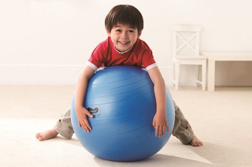 [00 E MOT08/55] Push-ball 55 cm