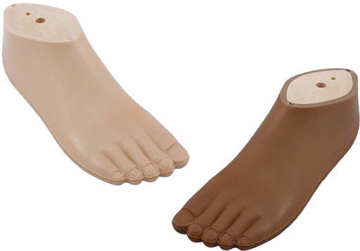 SACH foot, adult