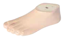 Foot children