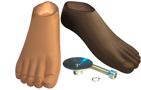 SYME foot (long-stump)