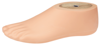 Pied SACH adulte