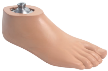 DYNA foot with fiber glass keel