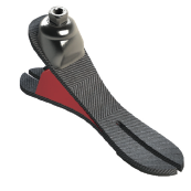 Carbon Foot ASYA