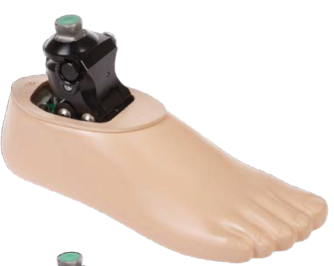 Carbon foot with smooth heel adjustement
